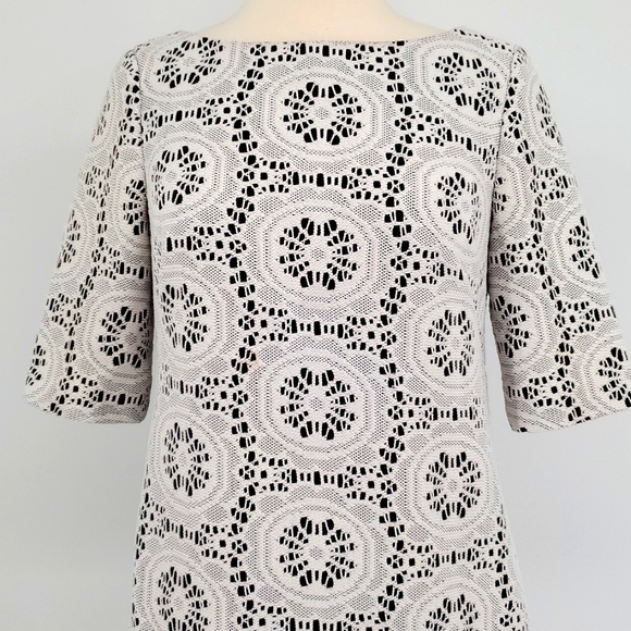 Adrianna Papell Crochet Overlay Ivory and Black Lace Short Sleeve Shift Dress 4 - Picture 2 of 6
